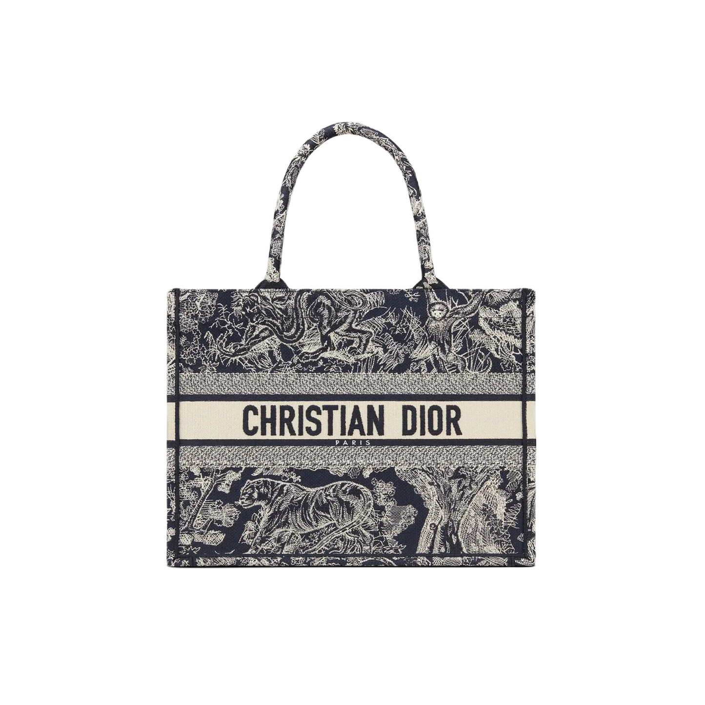 DIOR SMALL BOOK TOTE