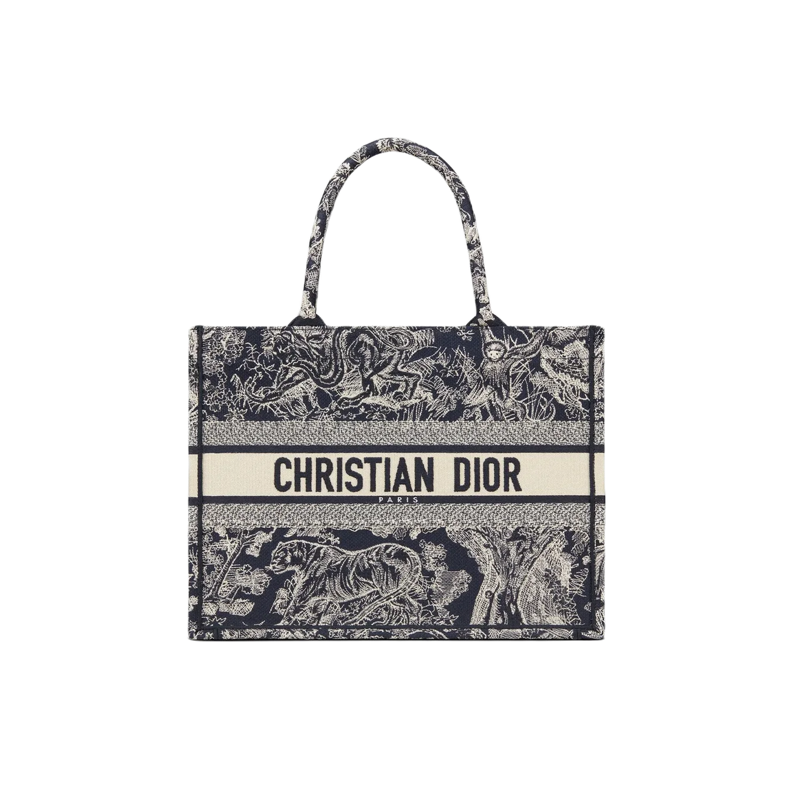 DIOR SMALL BOOK TOTE