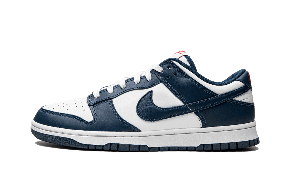DUNK LOW - BLUE