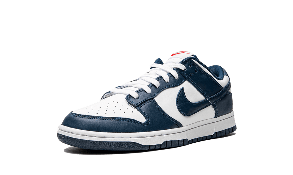 DUNK LOW - BLUE